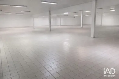 Business asset in HERCHIES (60112)