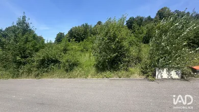 Terrain à FERRETTE (68480)