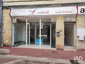 Business asset in LOUDUN (86200)