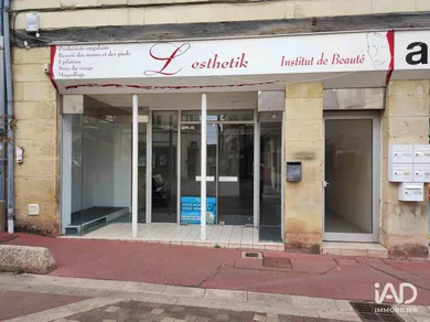 Business asset in LOUDUN (86200)
