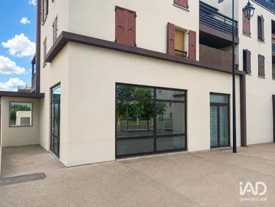 Commercial in SAINTRY-SUR-SEINE (91250)