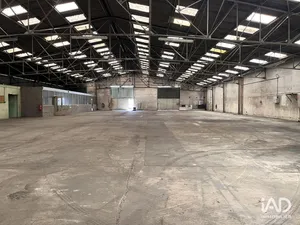 Business asset in LES PONTS-DE-CÉ (49130)