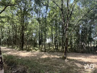 Terrain à LA GARNACHE (85710)