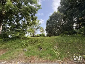 Terrain à LE LAMENTIN (97232)
