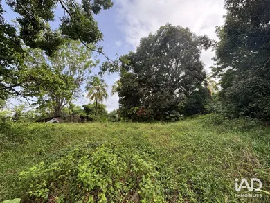Terrain à LE LAMENTIN (97232)