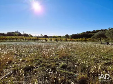 Terrain à CABREROLLES (34480)