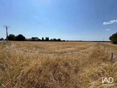 Terrain à LINIERS (86800)