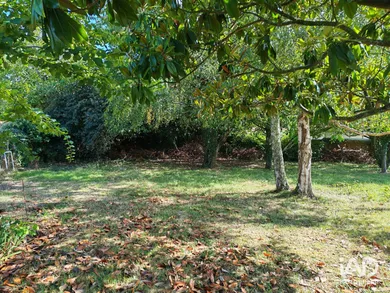 Terrain à BOUIN (85230)