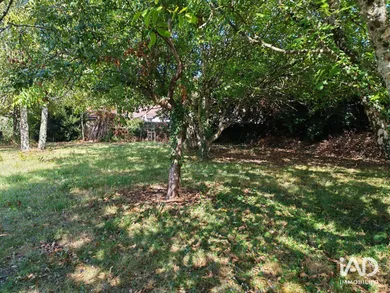 Terrain à BOUIN (85230)