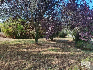 Terrain à BEAUVOIR-SUR-MER (85230)