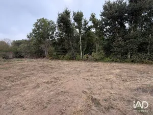 Land in PONT-L'ABBÉ (29120)