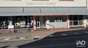 Business asset in WIMMENAU (67290)