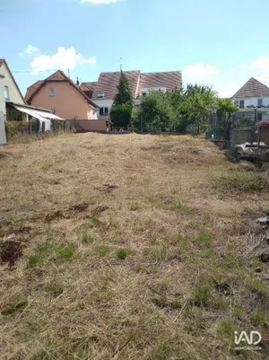 Land in ECKWERSHEIM (67550)