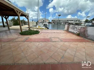 Commercial in SAINT-MARTIN (97150)