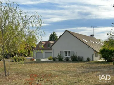Maison à OUZOUER-DES-CHAMPS (45290)