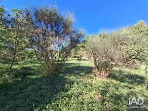 Terrain à ENTRECHAUX (84340)