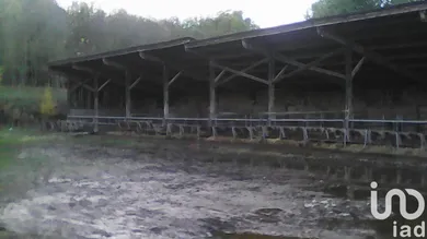 Farm land in ISSEPTS (46320)