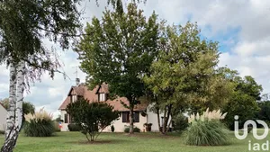 Traditional house at CHÂTILLON-SUR-CHER (41130)