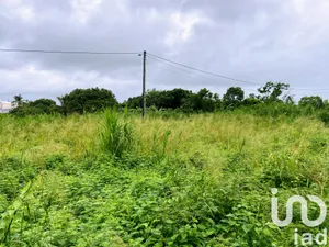 Land at Saint-André (97440)