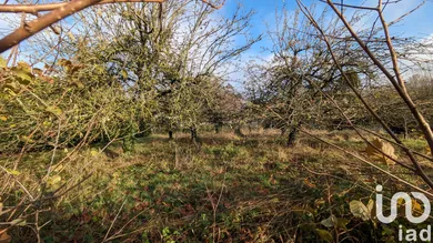 Terrain à Saint-Germain-sur-Morin (77860)