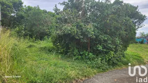Terrain à SAINT-DENIS (97490)