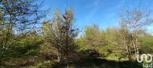 Terrain à bâtir à Pruniers-en-Sologne (41200)