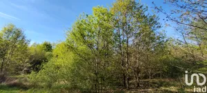 Building plot at Pruniers-en-Sologne (41200)