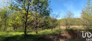 Terrain à bâtir à Pruniers-en-Sologne (41200)
