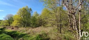 Building plot at Pruniers-en-Sologne (41200)