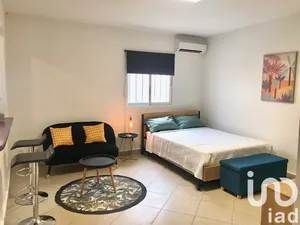 Studio at Mamoudzou (97600)