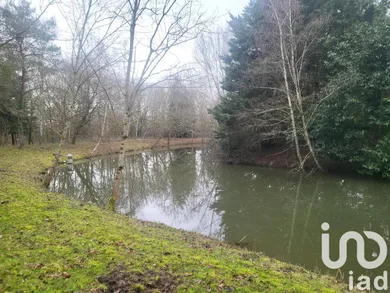 Terrain loisirs à La Cour-Marigny (45260)