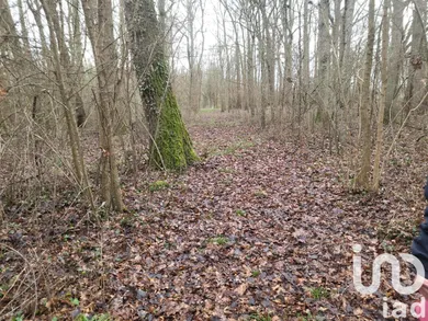 Terrain loisirs à La Cour-Marigny (45260)