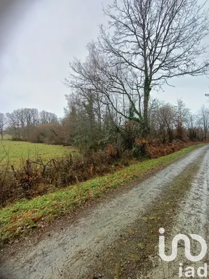 Terrain à SÉREILHAC (87620)