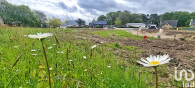 Building plot at Crac'h (56950)