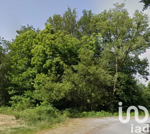 Land at compreignac (87140)