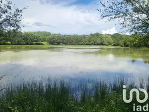 Leisure land in MONTEREAU (45260)