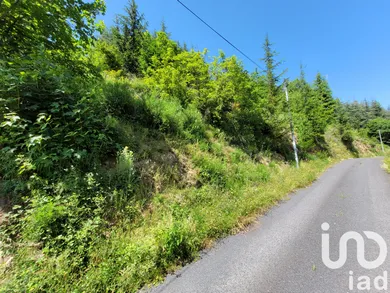 Terrain à bâtir à Le Cheylard (07160) — 4/8