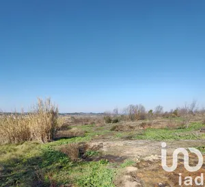 Terrain agricole  à TOURBES (34120)