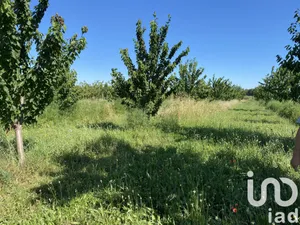 Farm land at Saint-Just (34400)