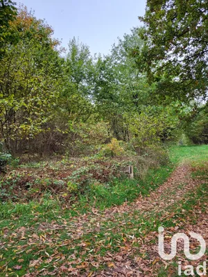 Terrain loisirs à Wingen-sur-Moder (67290)