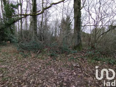 Terrain à bâtir à Vézilly (02130) — 7/9