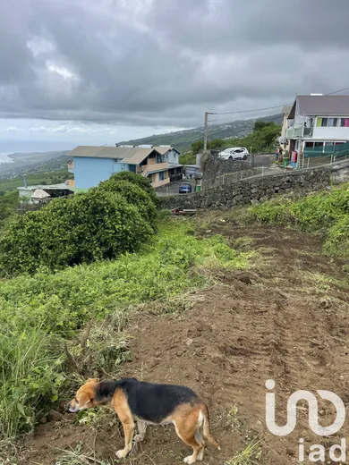 Building plot at Cap camelias st leu (97416) — 9/11