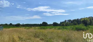Terrain agricole à Ouzouer-sur-Loire (45570)