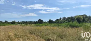 Terrain agricole à Ouzouer-sur-Loire (45570)