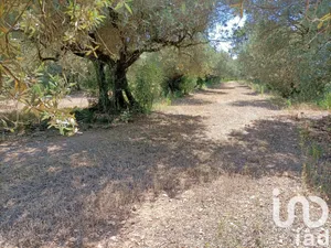 Terrain agricole  à La Fare-les-Oliviers (13580)