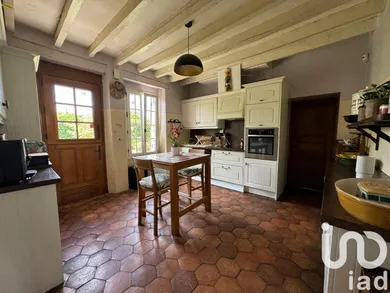 Traditional house in Bazoches-sur-le-Betz (45210)