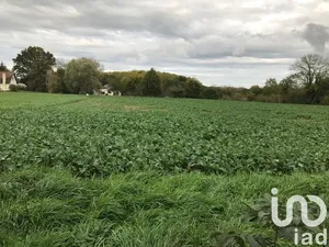 Terrain à Beaulieu-sur-Loire (45630)