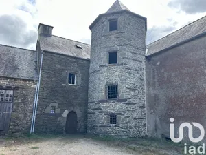Demeure à Néant-sur-Yvel (56430)