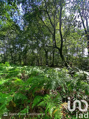 Land at Ménesplet (24700)