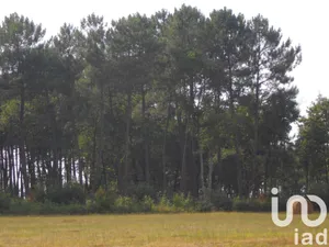 Terrain à Bazas (33430)